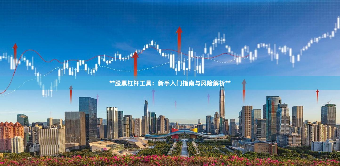 **股票杠杆工具：新手入门指南与风险解析**